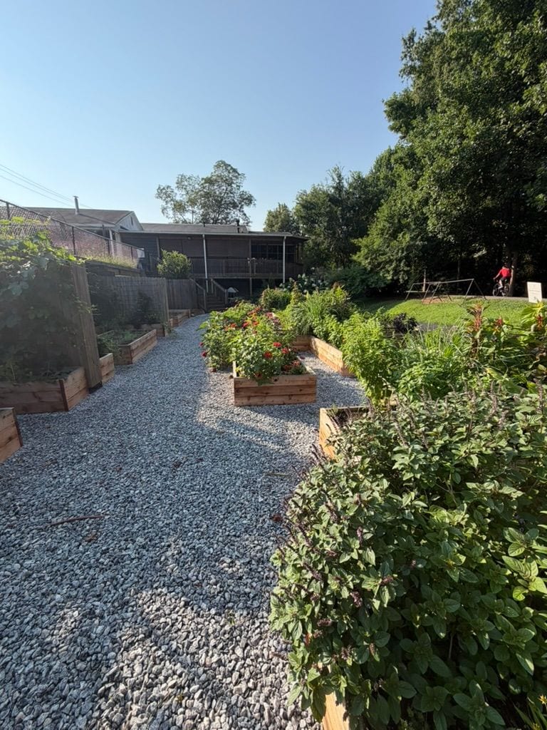 Gravel path running between two grown-in beds at the Topsoil Culinary Garden
